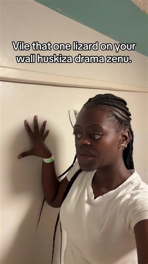 Humorous Lizard Wall Observations