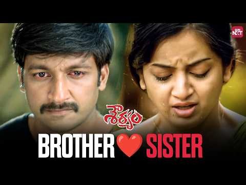 Gopichand's fight for his Sister❤️| Souryam | Telugu Movie Scene | Sun NXT