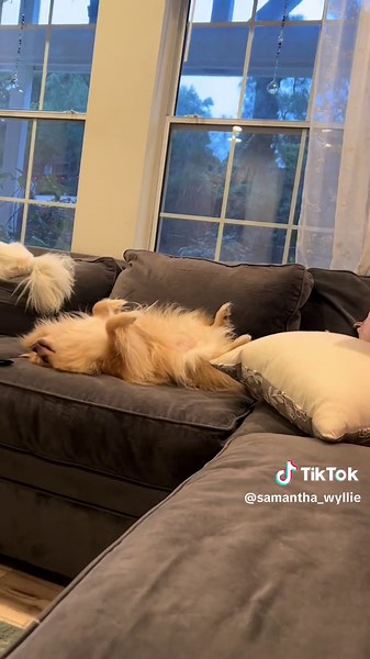 Samantha_Wyllie (@samantha_wyllie)’s videos with original sound - Winston Chats