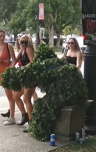 Taylor swift getting scared 😱 | Florida Bushman