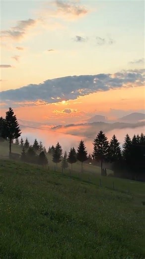 Summer Carpathian Mountains Ukraine Nature Vibes