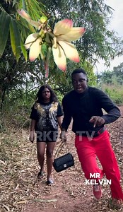 For€st Angel | Mr Kelvin