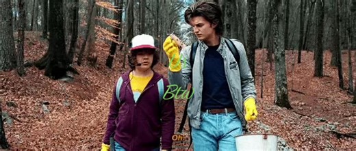 Exploring the Dynamics of Steve and Dustin in Stranger Things