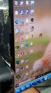 Watch Quick Review of Epson Perfection V600 on Amazon Live