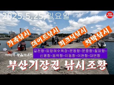 부산기장권 핫플 방파제에서 강태공 가족이 휴일에 낚시하는 스케치영상 및 낚시조황/부산기장권낚시조황/낚시여기어때