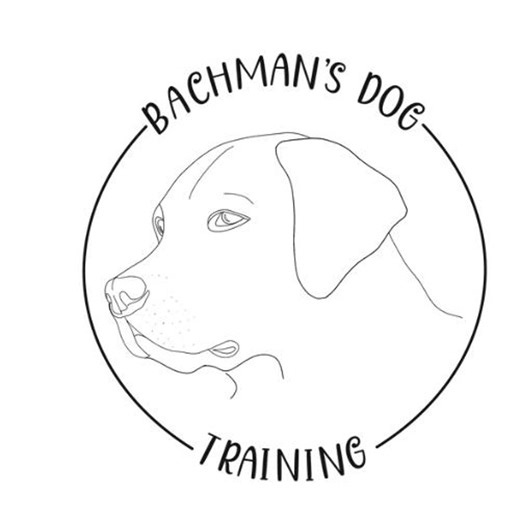 Hand-drawn Dog Logo | Minimalist Line Art Pet Branding for Small Business - Etsy