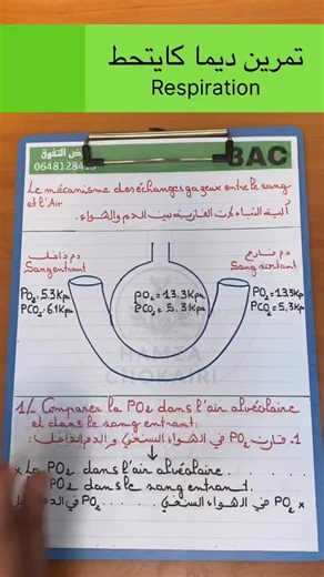 hamza.chokairi on Instagram‎: "الثالثة إعدادي : تمرين ديمااا كايتحط في درس التنفس / la respiration #svt #3ac 🔥🔥🔥🔥🔥🔥🔥🔥🔥🔥"‎