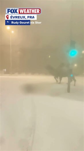 An odd scene unraveled in France about 60 miles outside of Paris, where a pair of camels attempted to escape from a traveling circus last Wednesday. #france #paris #animals #circus #FoxWeather | FOX Weather