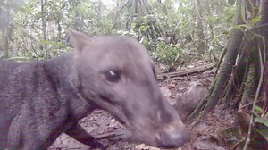 124K views · 3.5K reactions | Explora el mundo a través de National Geographic | National Geographic | Facebook