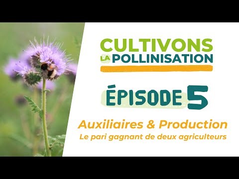 Cultivons la pollinisation EP05 Auxiliaires & Production