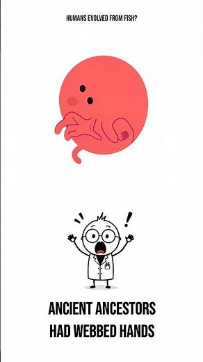 Humans Evolved From Fish? 🐟🤯 #evolution #science #shorts