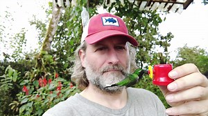 Stunning Slow Motion Footage of a Hummingbird Eating from a Mans Hand