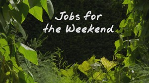 BBC Gardeners World on Reels