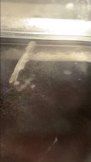 Radioactivity in a Cloud Chamber #particles #physics