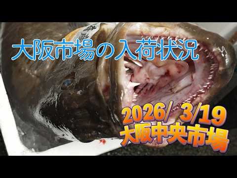[Central Market] "Many fish species from all over Japan! Yellowtail, swallowtail fish, chambara c...