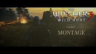 Video :: THE WITCHER 3 COMBAT MONTAGE MODS WITH EXTREME SETTINGS