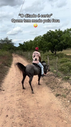 Cavalo de homem: O ditado que faz rir