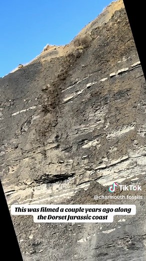 Cliff Fall at Charmouth Beach: A Jurassic Coast Incident