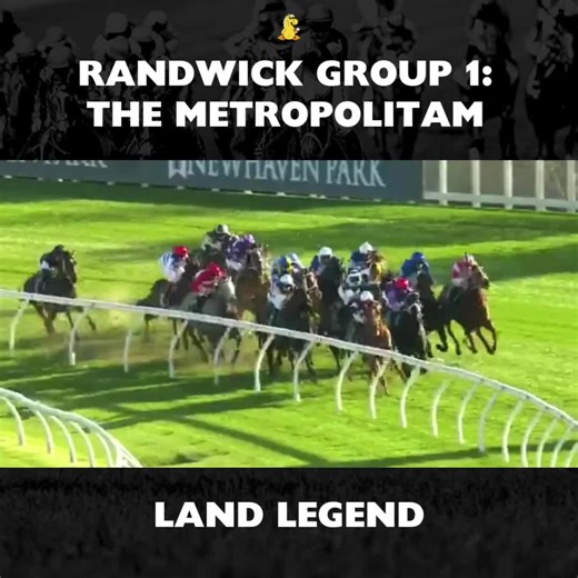 Protest upheld or dismissed? #horses #horseracing #horseracingtips #horsesoftiktok