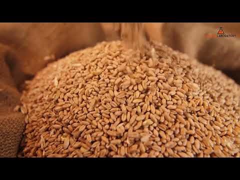 Buffalo Trace Mash Bill Chart Complete Guide