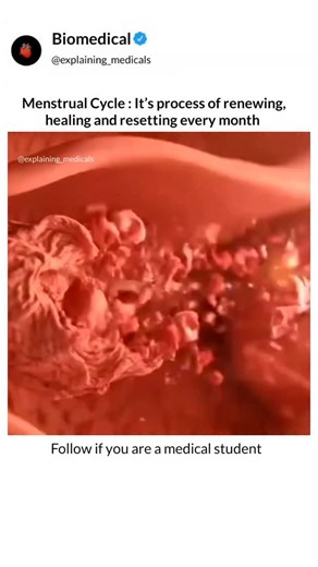 Explaining Medicals on Instagram: "Follow @explaining_medicals ⬇️⬇️⬇️⬇️ What text books can't show you, We animate. The period process usually lasts 8 days. Day 1–2: Uterus lining breaks down and bleeding starts, often with cramps. Day 3–4: Flow reduces and energy slowly returns. Day 5–6: Bleeding becomes light or stops; the uterus starts rebuilding its lining. Day 7–8: Body recovers, estrogen rises, and energy improves. Eight-day periods are slightly longer than average but can still be normal 