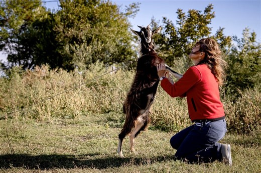 Lector universitar în Londra, Mihaela Stan povestește cum a pierdut alegerile la primăria unei comune din Ialomiţa: “Câştigul meu e că am pus Valea Ciorii pe hartă!”