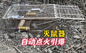 小伙制作自动引爆灭鼠器，里面放入鞭炮，老鼠一进去就会粉身碎骨