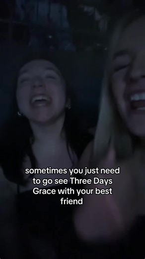Three Days Grace Concert Experience with Friends