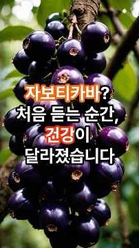 "자보티카바? 처음 듣는 순간, 건강이 달라졌습니다" #브라질 #건강정보 #중장년건강