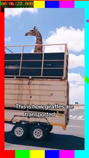 Funny Videos: Funny Reddit Moments 1td0d3o | Wait Till The Last One #Shorts