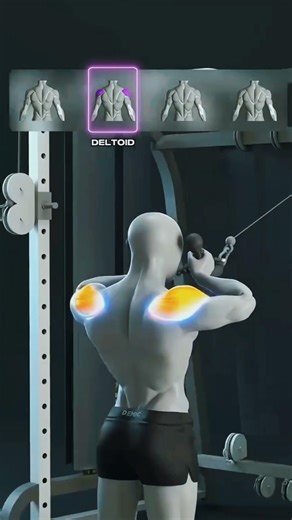 Lat Pulldown Form for Teres Major | Build a V-Taper Back #latpulldowns #gymtips