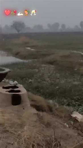 Instagram video by Rupa Kumari • Dec 28, 2025 at 6:59 PM