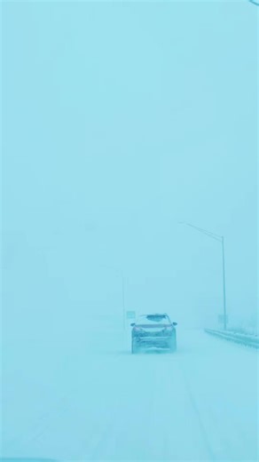 #Foryou #fypシ #rebelnation #fyp | rebel flag