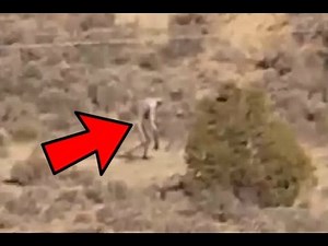 12 Mysterious Creatures