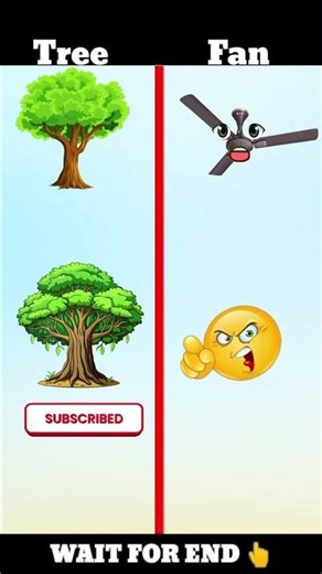 Tree VS Fan Who is the win ?? #viral #shorts