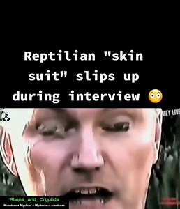 151K views · 1.7K reactions | they live.... | Stranger THAN Fiction | Facebook