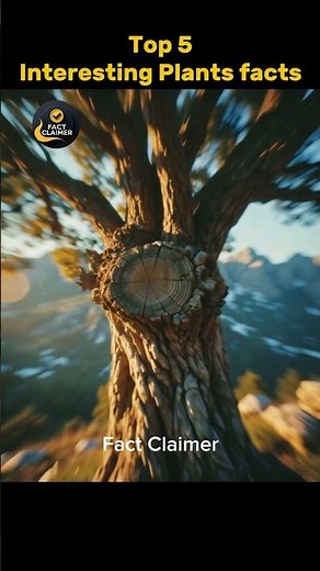 Top 5 Incredible Plant Facts You Never Knew | Amazing Plants Facts | Nature Secrets | Science Facts