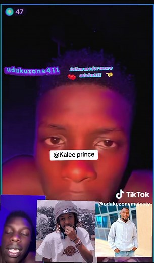 Understanding Orca Attacks on Humans: Causes and Myths