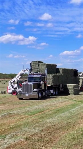 This Mega Machine Can Carry 100+ Hay Bales at Once#farming #modernfarmer #farming #agropulsecanada