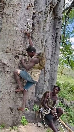 This Tribe Stopped Hunting Monkeys After Learning About the "Origins of Humanity" 😱