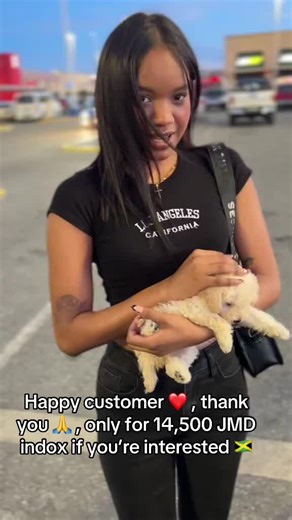 Everything You Need to Know About Shih Tzu Puppies