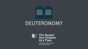 When we forget God, idolatry results. My Bible Study summary of the book of Deuteronomy. | Paul David Tripp