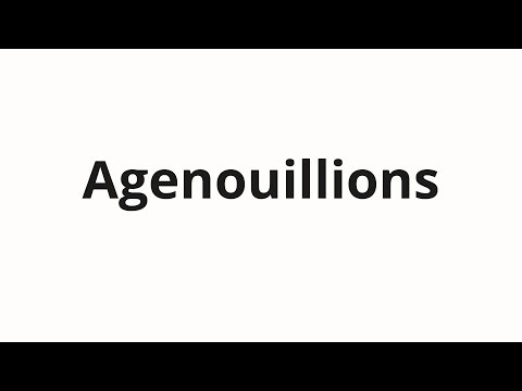 How to pronounce Agenouillions