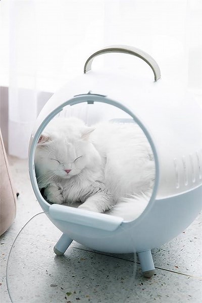 1251d69e876e491fada5110375b1c9ec