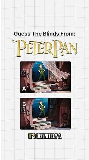 Do You Believe in Fairies… and Curtains on This Peter Pan Window? 🧚‍♀️🪟
