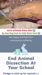 1.2K views · 12 reactions | animal dissection is extremely cruel and unnecessary  learn why it’s bad for the environment, students, animals, and the school’s wallet using our new Cut Out Dissection webpage (linked in our bio)! you can also learn about your right to opt out of dissection and how you can end animal dissection at your school 﫶 together, we can make the world a better place for animals  | peta2 | Facebook
