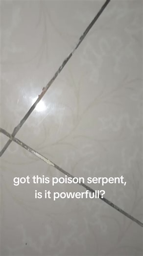 Exploring the Power of Poison Serpent in Beyblade