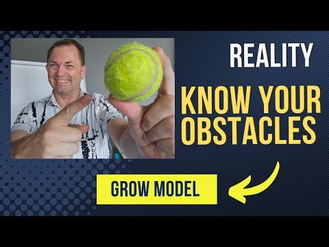 R = Reality - Are there any elephants in the room?