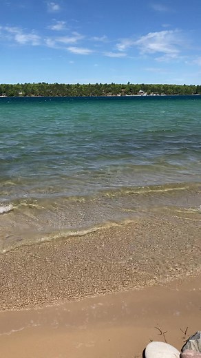 Million minnow march… | Mark Neracher