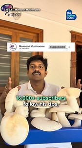 From a 50 sq ft room in Kerala to running 8 thriving farms, ex-Merchant Navy officer Rahul Govind has turned mushroom farming into a ₹2 Cr/year success story! 🍄✨ Founder of Monsoon Mushrooms, he grows rare varieties, trains farmers, and even created India’s first Mush Pellet for beginners. With 16K YouTube followers & statewide impact, Rahul proves fresh starts can change lives. 🌱 For more updates, you can contact them at 91 8921152535, 91 8921390344 #MushroomRevolution #MushroomFarming #Keral